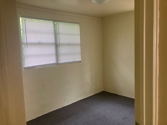 Gallery Photo 3